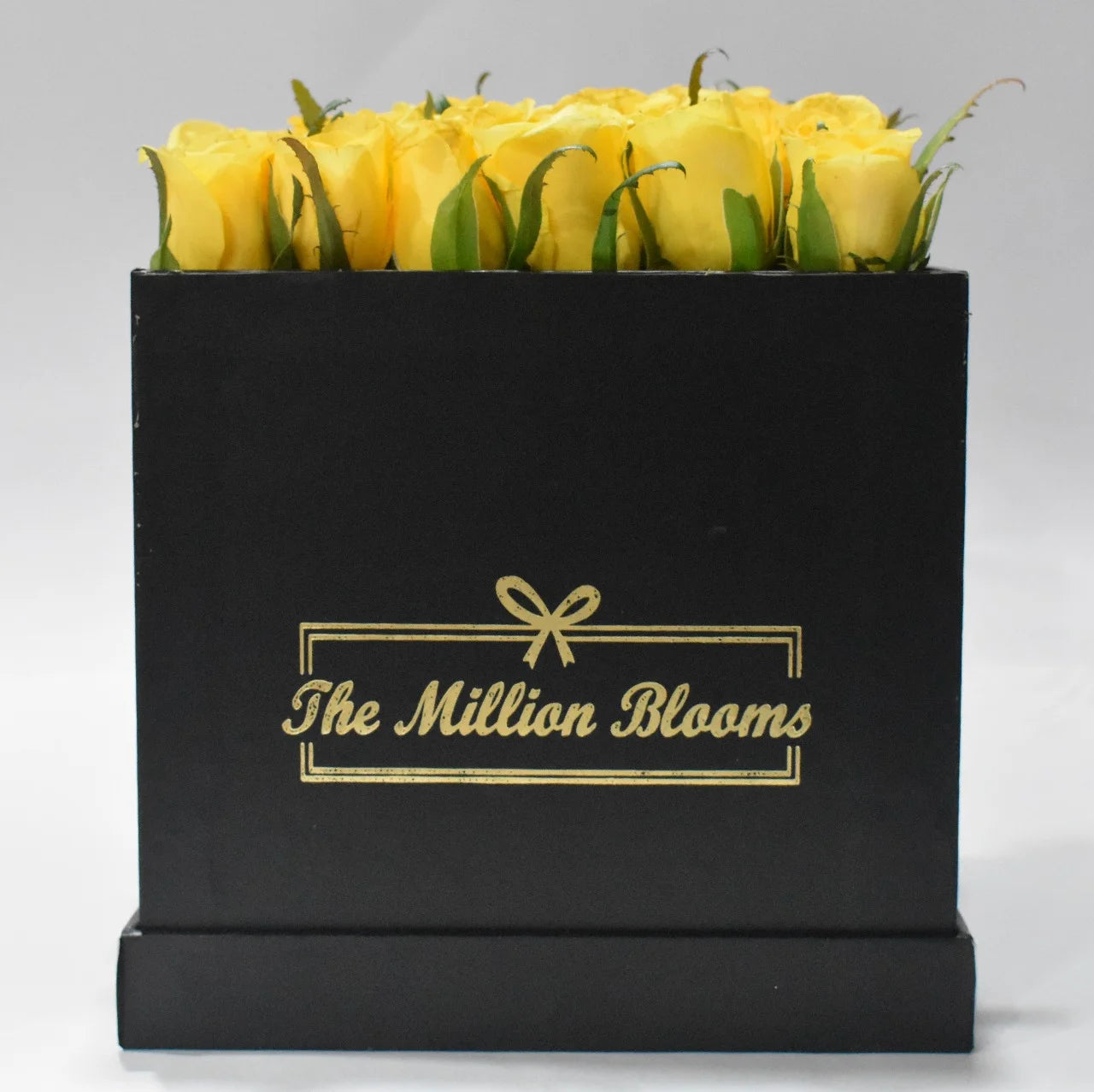 Yellow Roses with Black Box