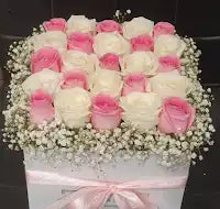 A Perfect Blend of Pink and peach Elegance