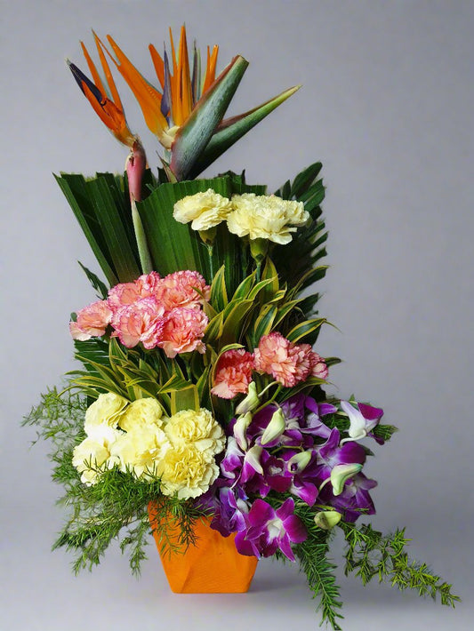 Bright and Colorful Carnations
