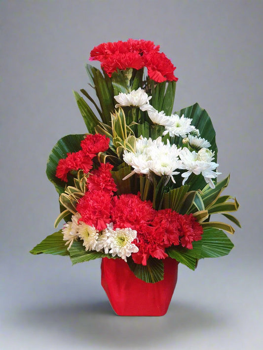 Colorful Carnation Display