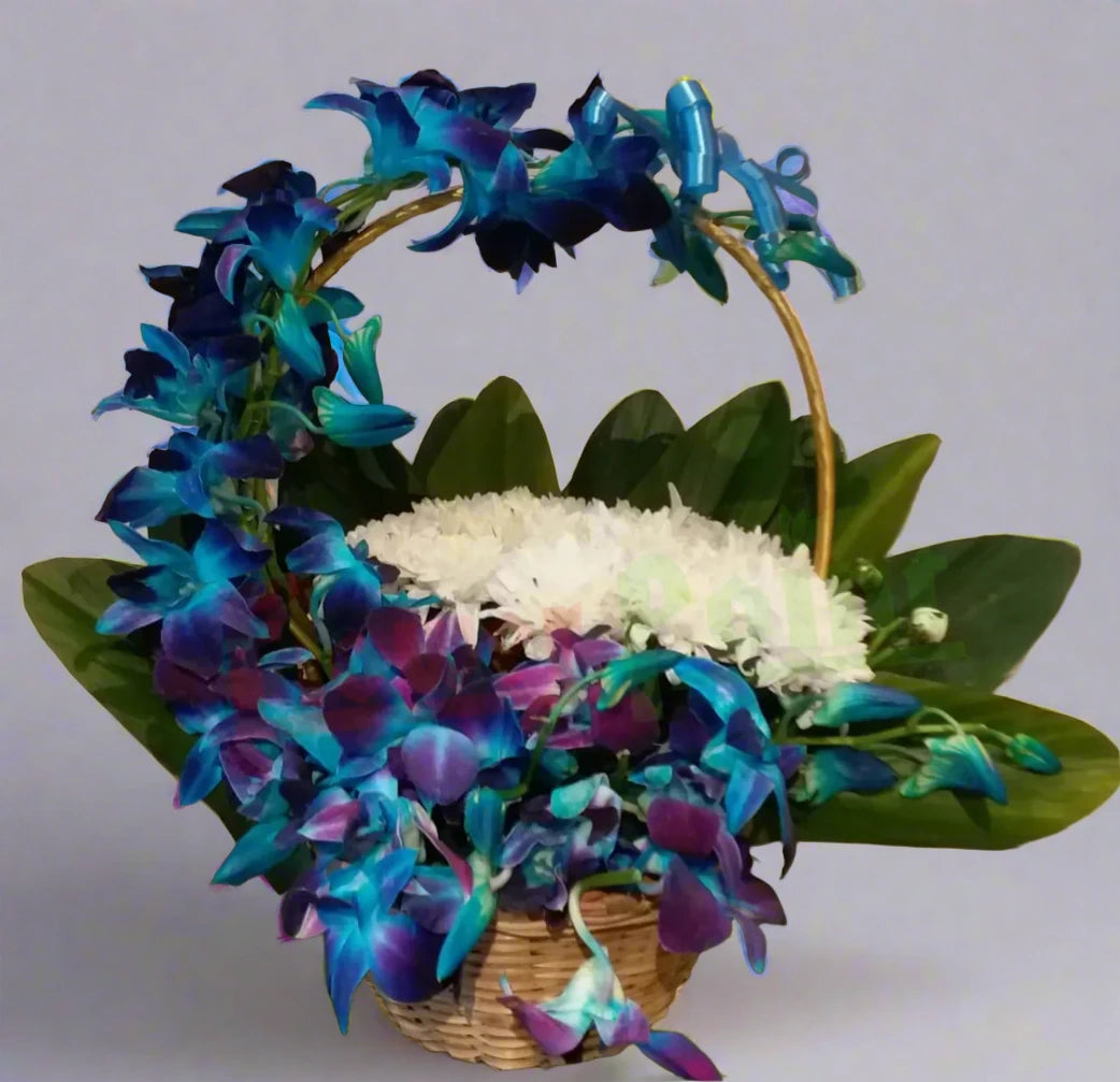 Exotic Arrangement of Blue Orchids